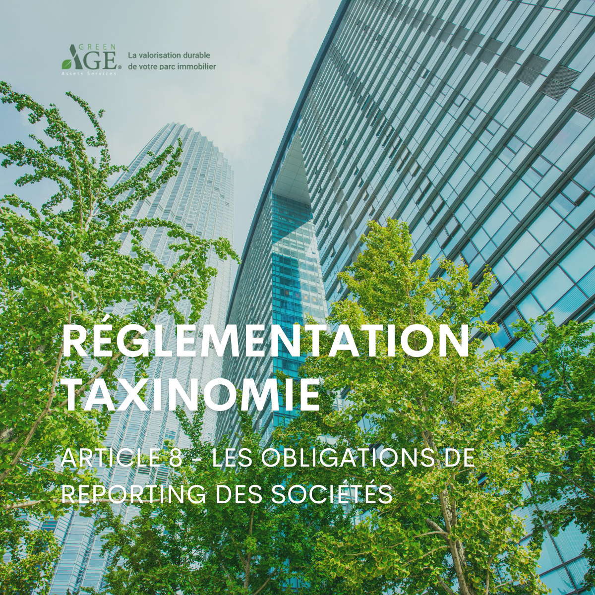 réglementation Taxinomie